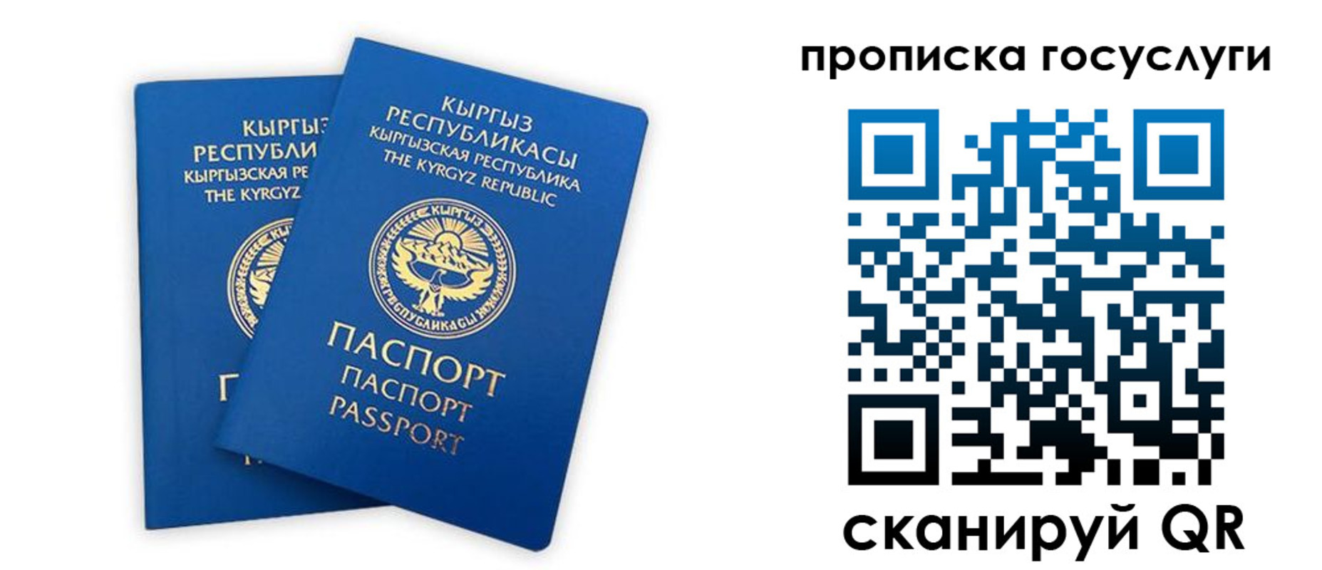 временная регистрация госуслуги в Заволжье